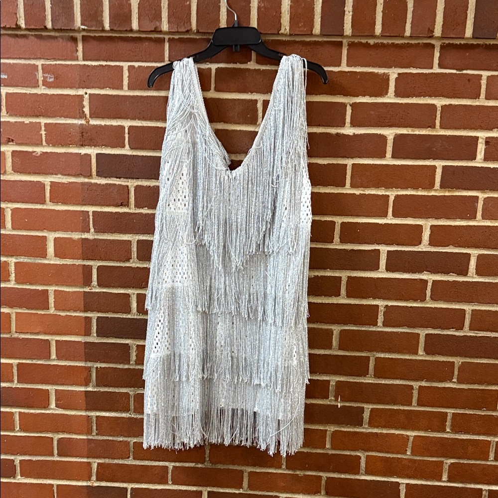 Elegant Silver Fringe Dress